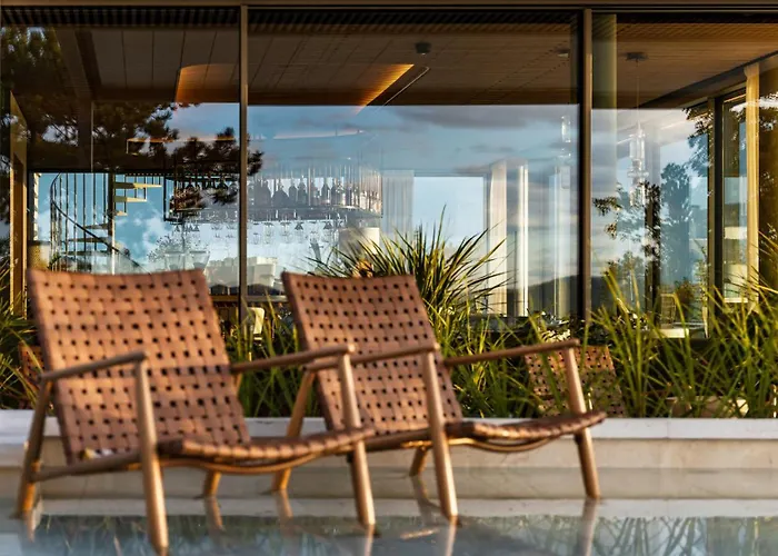 Petit Bois - Adults From 14 5*