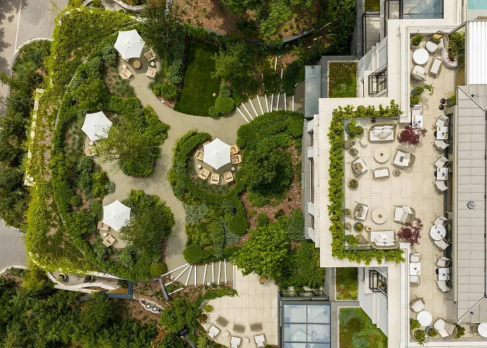 Petit Bois - Adults From 14 5*