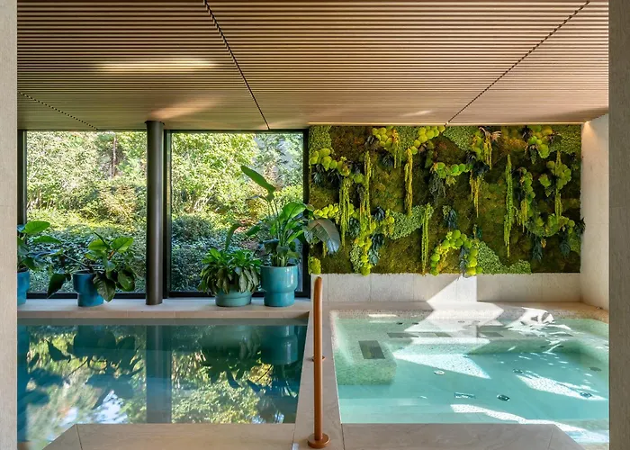 Petit Bois - Adults From 14 فندق بالاتونفوريد